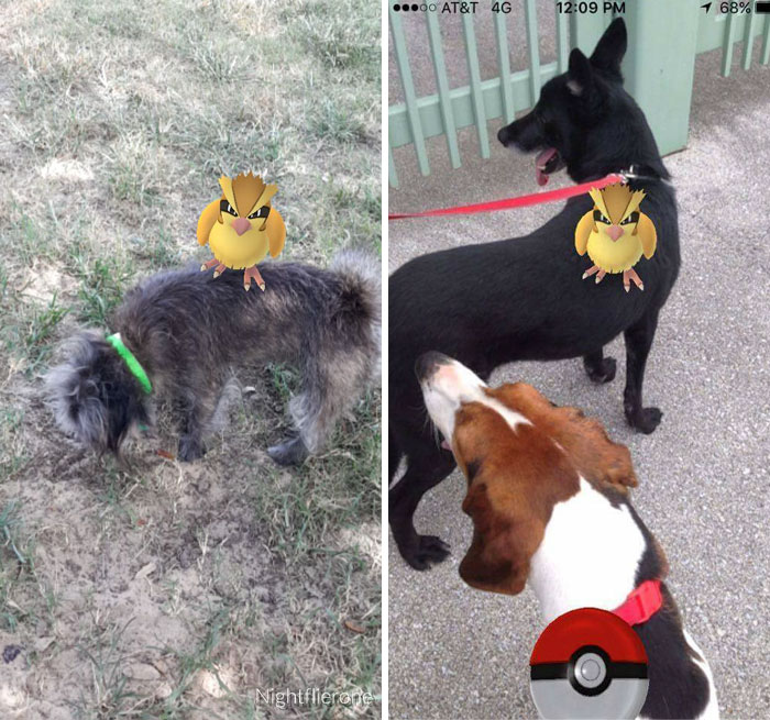 Pokemon Go Based Off Of